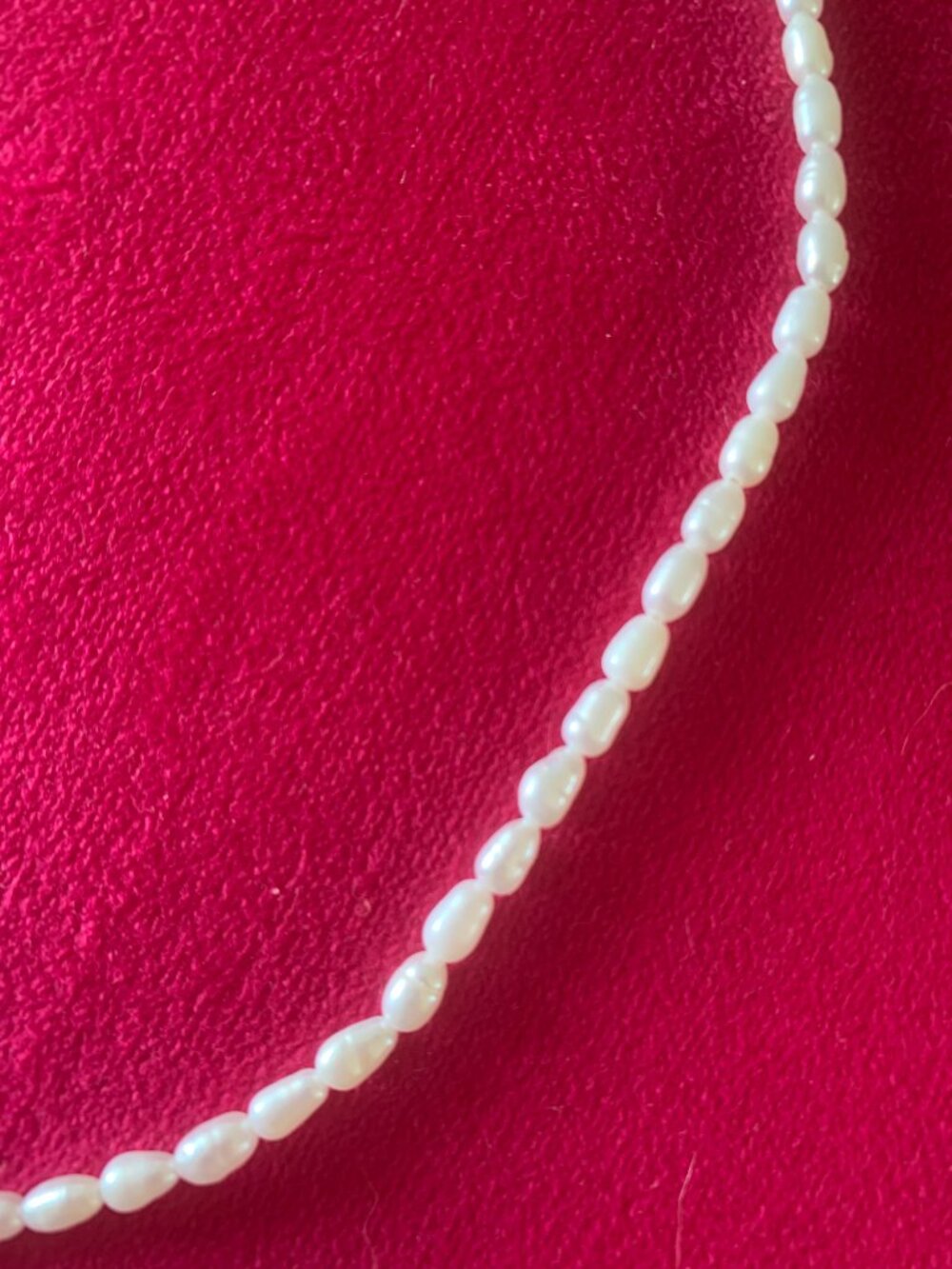 Freshwater Pearl Necklace